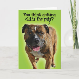 Carte d'anniversaire Funny Pit Bull