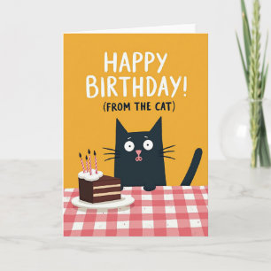 Carte d'anniversaire Gâteau Chat Curieux