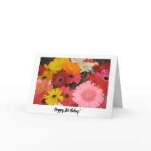 Carte d'anniversaire Gerbera