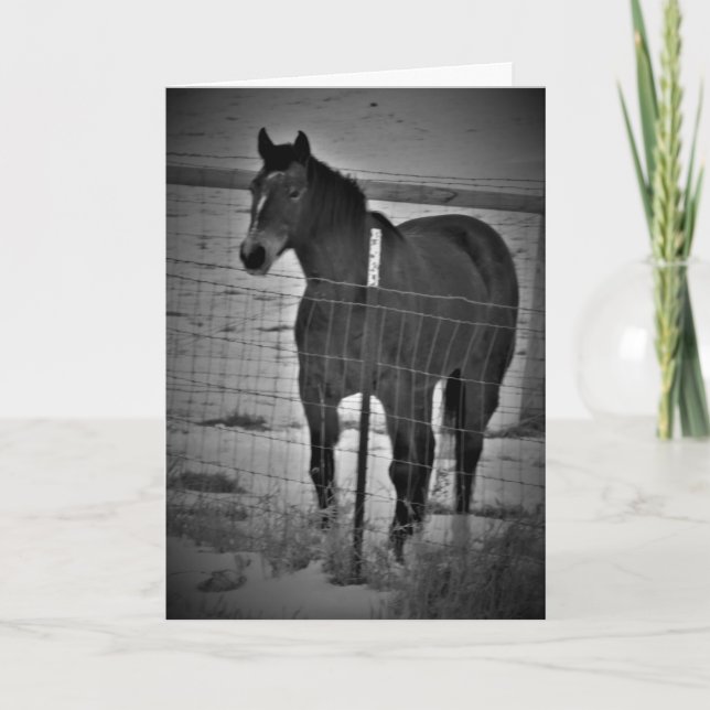 Carte d'anniversaire "Get On Your High-Horse" (Devant)