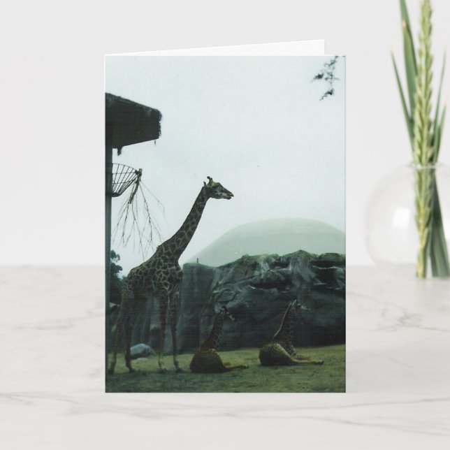 Carte d'anniversaire "Girafes" (Devant)