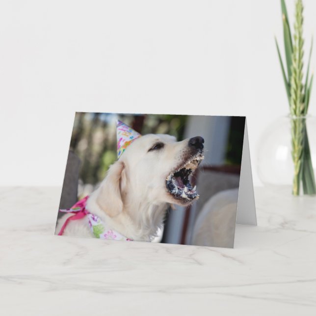 Carte d'anniversaire Golden Retriever (Devant)