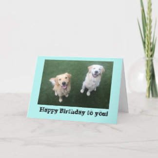 Carte d'anniversaire Golden Retriever