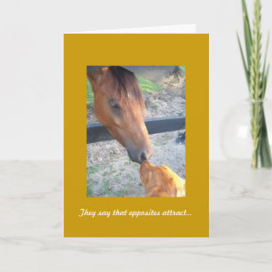 Carte d'anniversaire Golden Retriever, Contraires