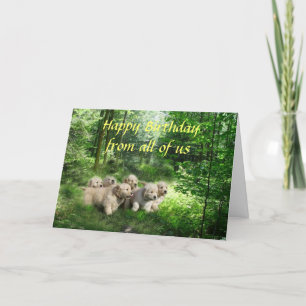 Carte d'anniversaire Golden Retriever Puppies