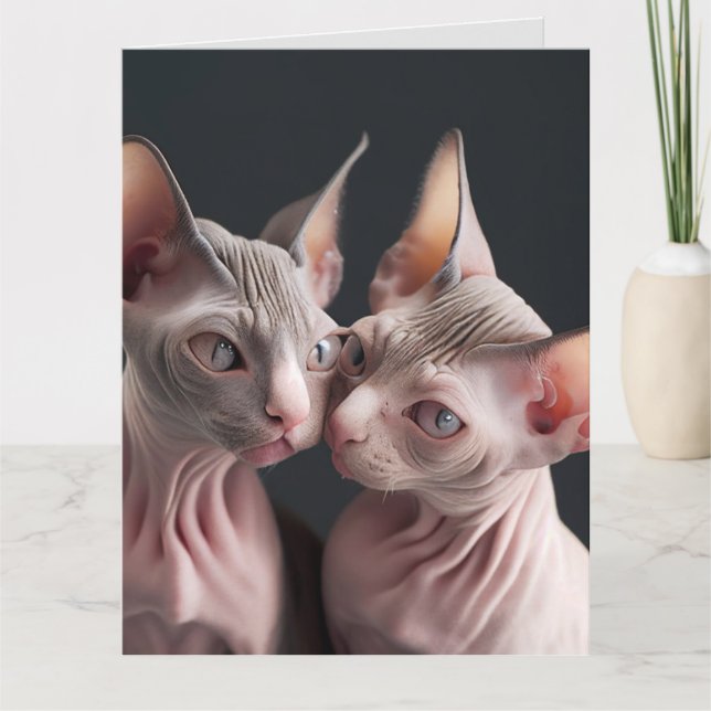 CARTE D'ANNIVERSAIRE GRANDE CAT SPHINX CHAT SANS P (Devant)