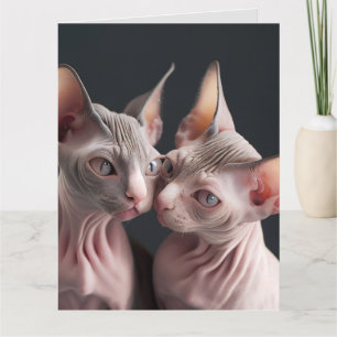CARTE D'ANNIVERSAIRE GRANDE CAT SPHINX CHAT SANS P