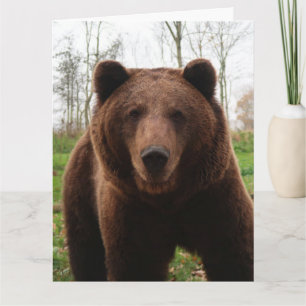 CARTE D'ANNIVERSAIRE GRIZZLY BEAR HUG OVERSIZED