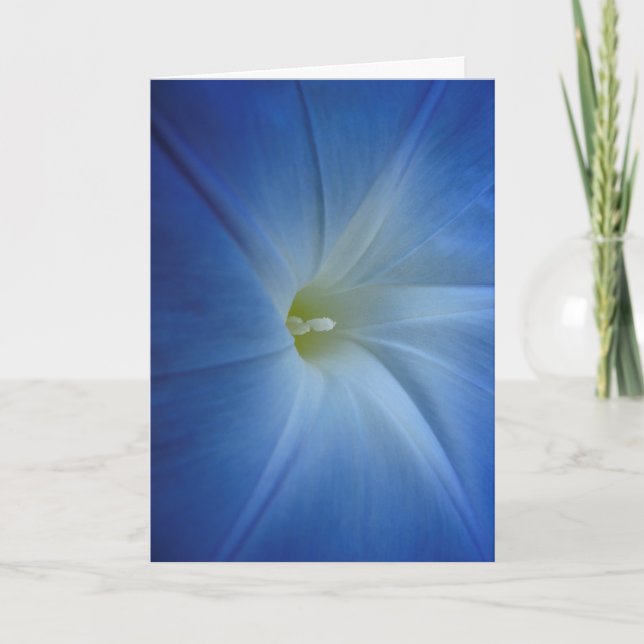 Carte d'anniversaire Heavenly Blue Morning Glory C (Devant)