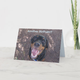 Carte d'anniversaire heureuse de Heidi