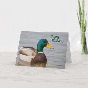 Carte d'anniversaire heureuse pour Mallard Duck