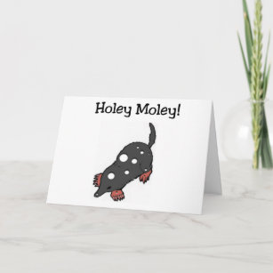 Carte d'anniversaire Holey Moley Funny (grande imp