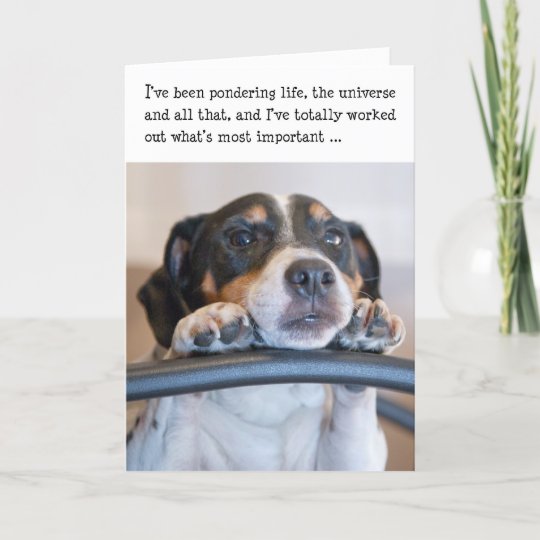 Carte D Anniversaire Humoristique Dog Pondering Zazzle Fr