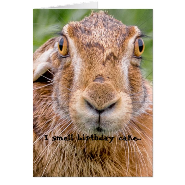carte d'anniversaire humour lapin lapin nez (Devant)