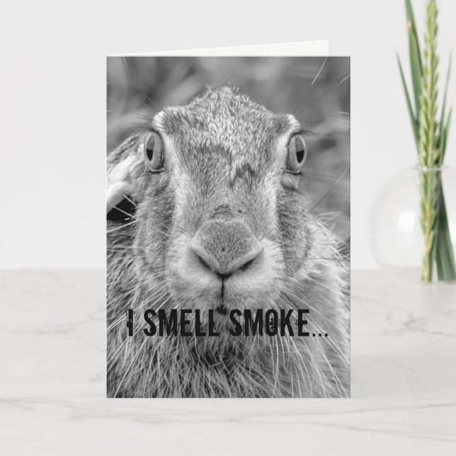 carte d'anniversaire humour lapin noir et blanc ph (Devant)