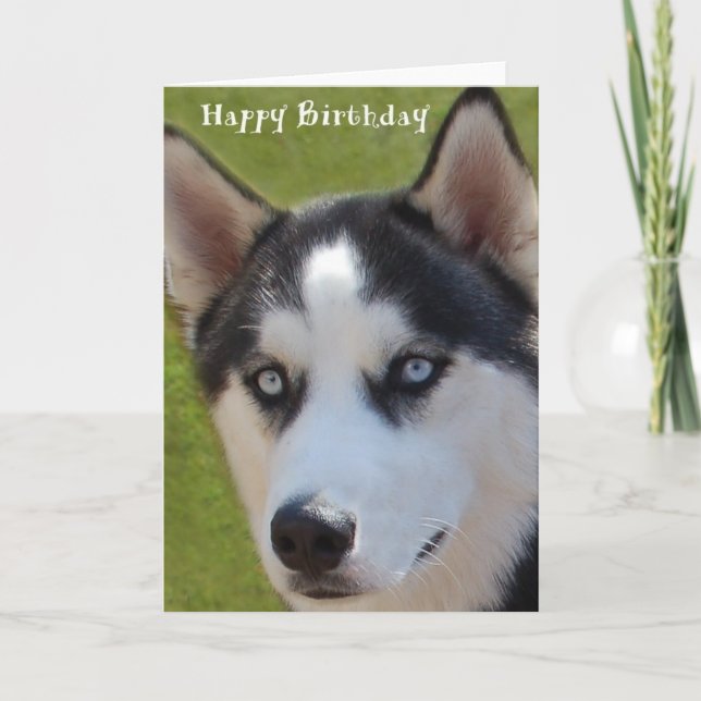 Carte d'anniversaire Husky (Devant)