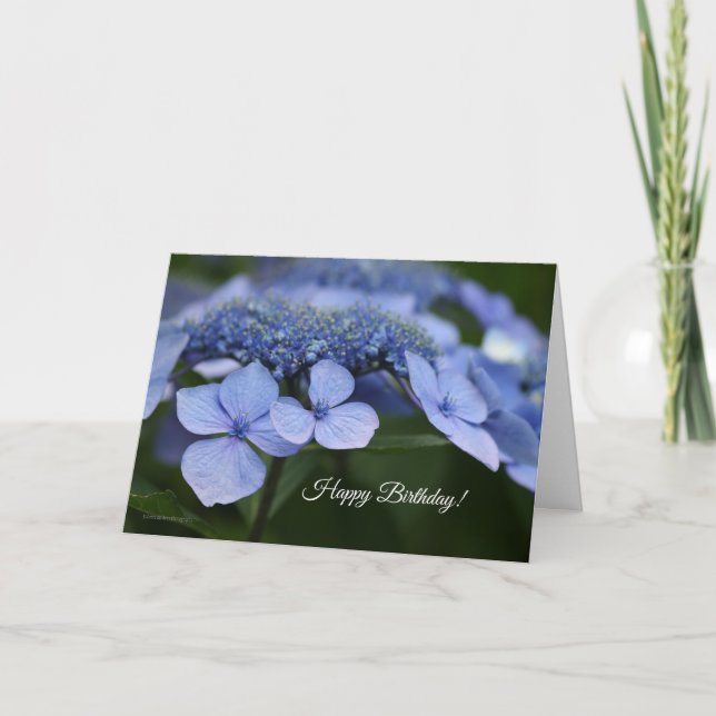 Carte d'anniversaire Hydrangea (Devant)