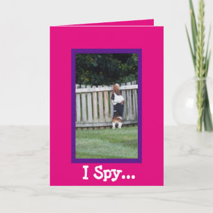 Carte d'anniversaire "I Spy" avec Basset Hound