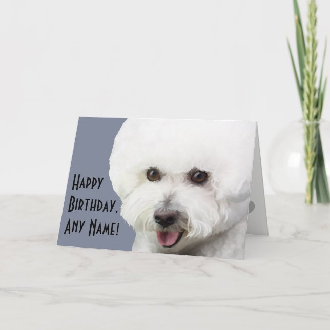 Carte d'anniversaire illustrée Bichon Frise (Devant)