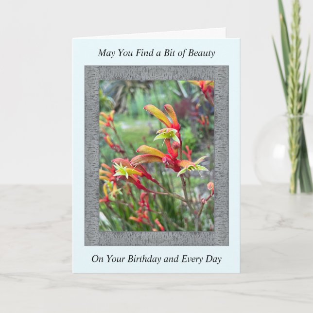 Carte d'anniversaire inspirante avec Kangaroo Paws (Devant)