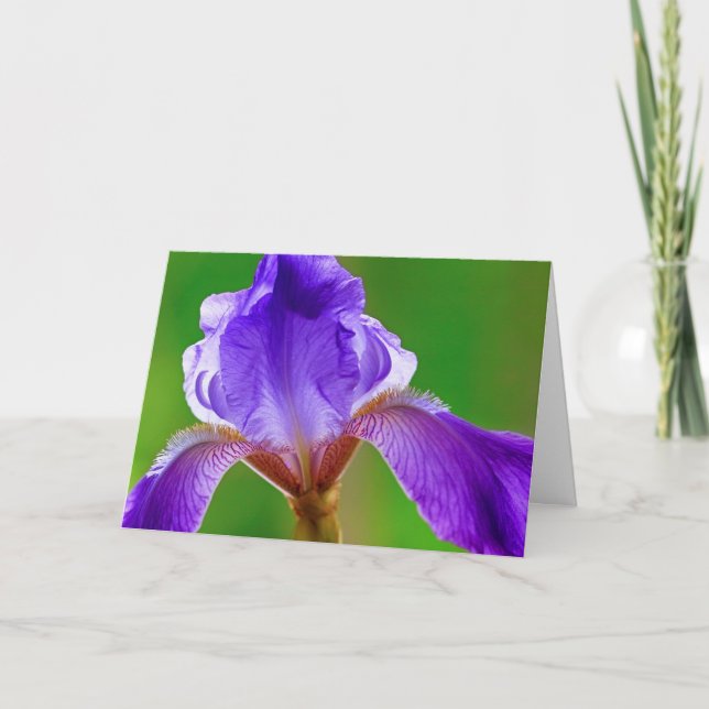 Carte d'anniversaire Iris violet (Devant)