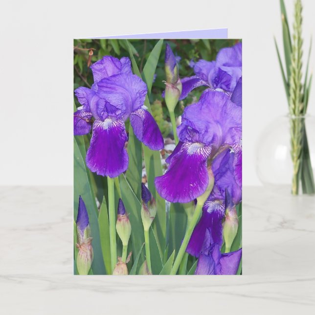 Carte d'anniversaire Iris violets (Devant)