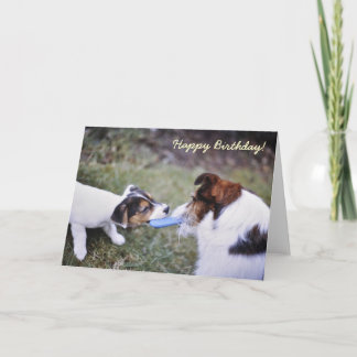 Carte d'anniversaire Jack Russell