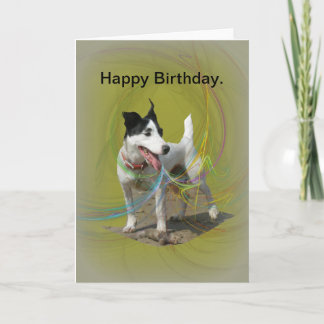 Carte d'anniversaire Jack Russell.