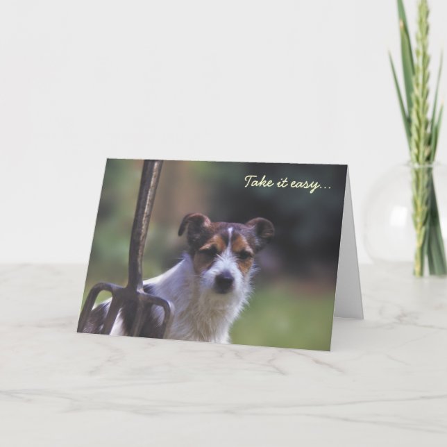 Carte d'anniversaire Jack Russell (Devant)