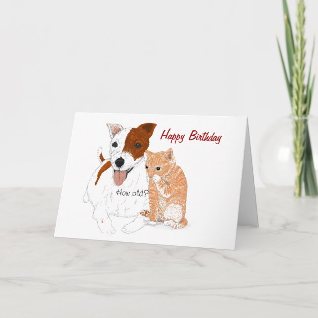 Carte d'anniversaire Jack Russell et Kitten (Devant)