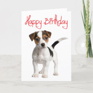 Carte d'anniversaire Jack Russell Terrier Chien ch