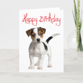 Carte d'anniversaire Jack Russell Terrier Chien ch