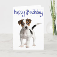 Carte d'anniversaire Jack Russell Terrier Chien ch
