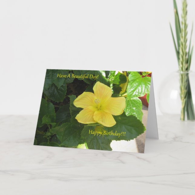 Carte d'anniversaire jaune de ketmie d'ambres (Devant)