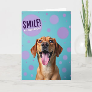 Carte d'anniversaire Jolly Dog à pois