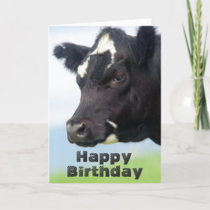 Carte d'anniversaire joyeuse de la vache