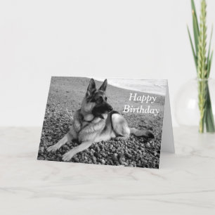 Carte d'anniversaire joyeuse du Chien chiot allema