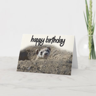 Carte d'anniversaire joyeux Ferret