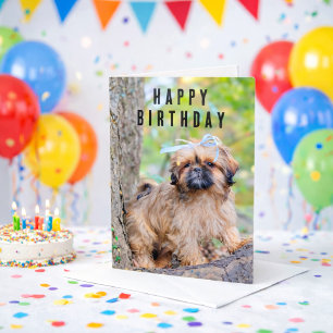 Carte d'anniversaire joyeux pour chiot Shih Tzu Ch