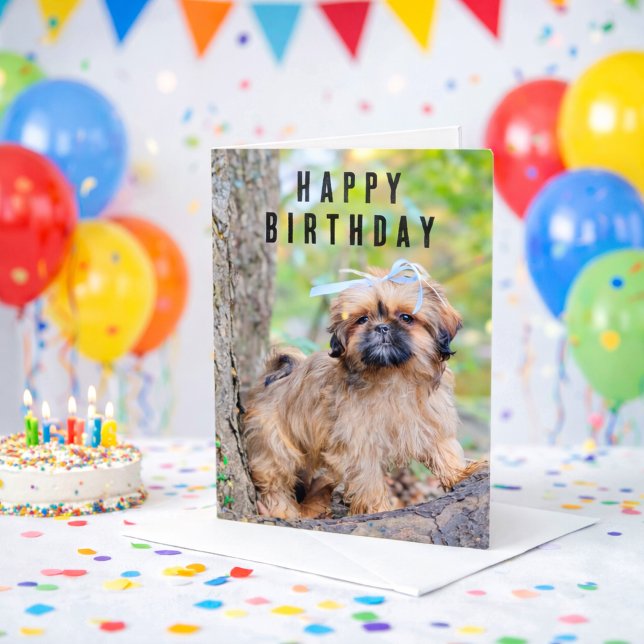 Carte d'anniversaire joyeux pour chiot Shih Tzu Ch (Happy Birthday Shihtzu Puppy Dog Card)