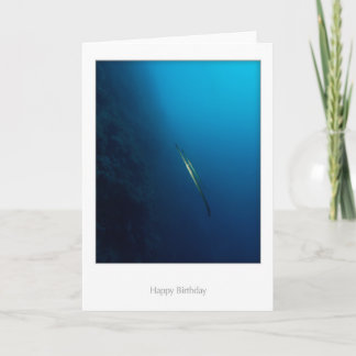 Carte d'anniversaire jumelle de poissons de