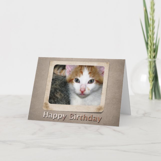 Carte d'anniversaire Kitten (Devant)