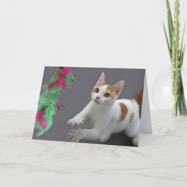Carte d'anniversaire Kitten par thème pour une cau (Devant)