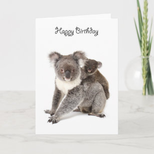 Carte d'anniversaire koala happy