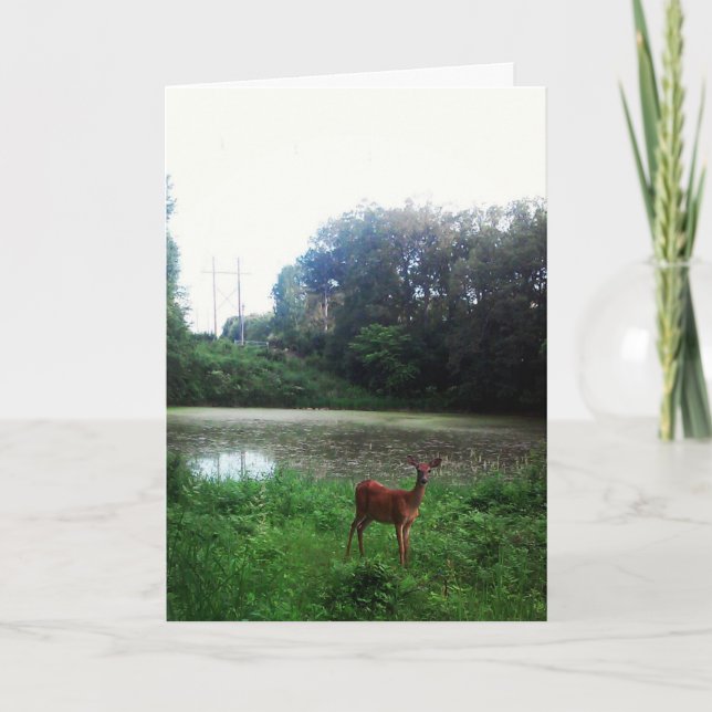 Carte d'anniversaire "Lake Alimagnet Deer" (Devant)