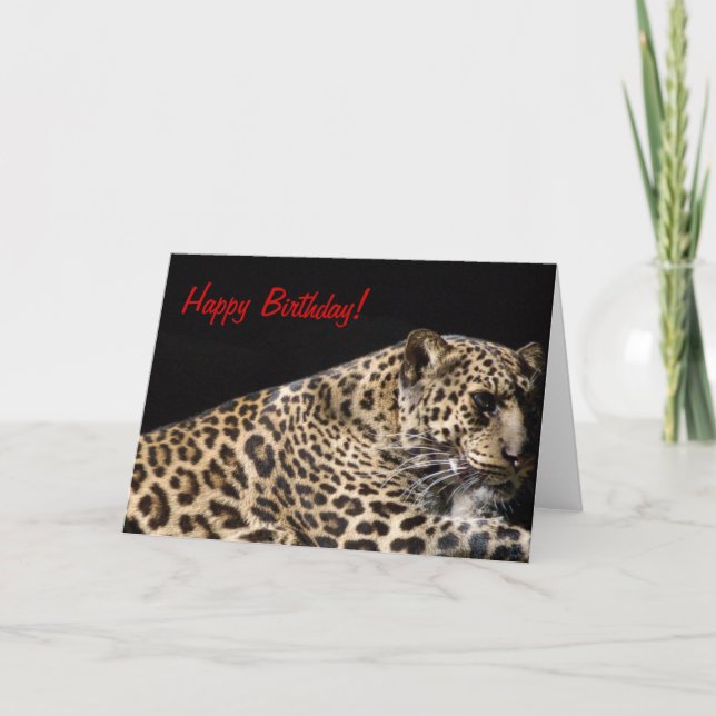 Carte d'anniversaire Leopard (Devant)
