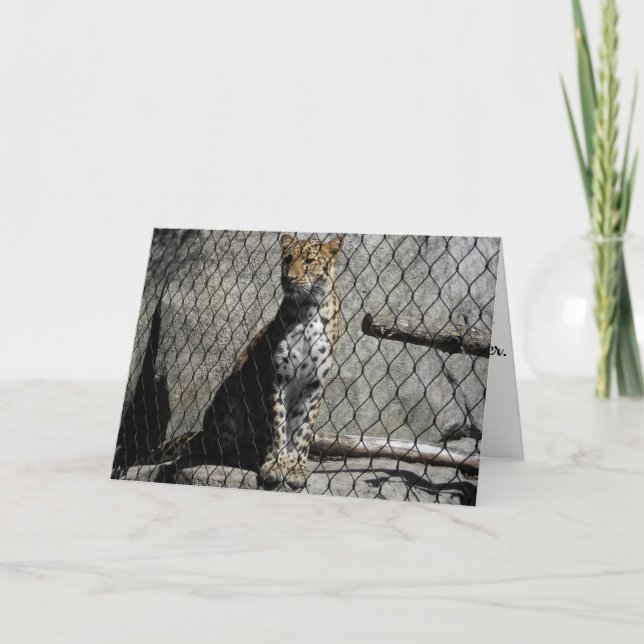 Carte d'anniversaire "Leopard #3" (Devant)
