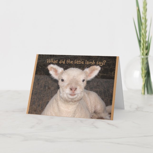 Carte d'anniversaire Little Lamb (Devant)