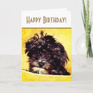 Carte d'anniversaire lumineuse pour chien Schnoodl