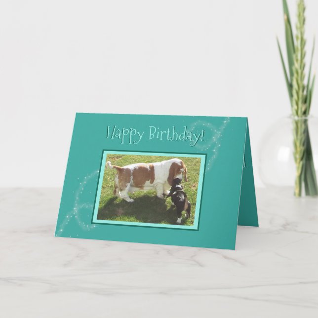 Carte d'anniversaire magique avec Hounds Basset (Devant)